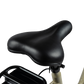 City E-Bike | Model AL1