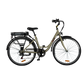 City E-Bike | Model AL1