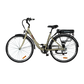 City E-Bike | Model AL1