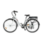City E-Bike | Model AL1
