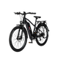 Trekking E-Bike | Model LU1