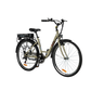City E-Bike | Model AL1