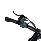 Mountain E-Bike | Model BS1